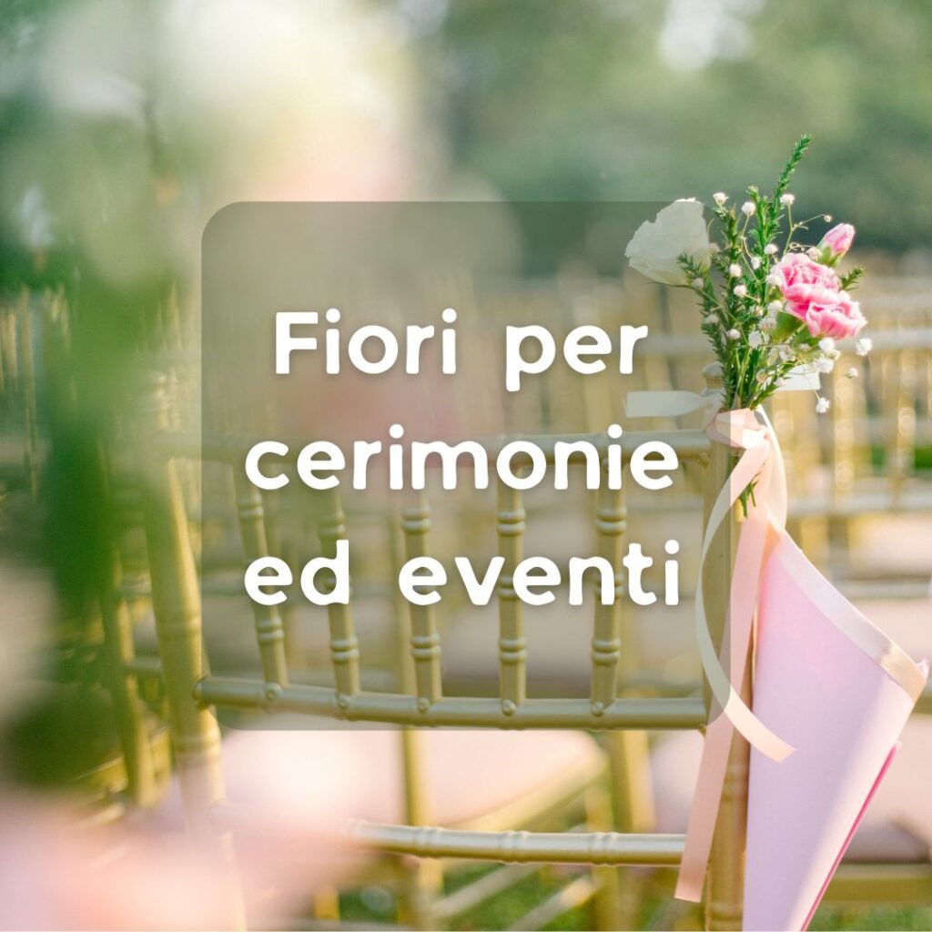Fiori per cerimonie ed eventi: decorazioni floreali per matrimoni e celebrazioni, create su misura dal vivaio Garden Verdissima a Vercelli. Scopri la nostra selezione di fiori freschi e composizioni personalizzate!