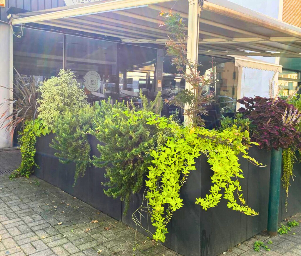 Spazio verde creato da Verdissima per un bar di Vercelli.