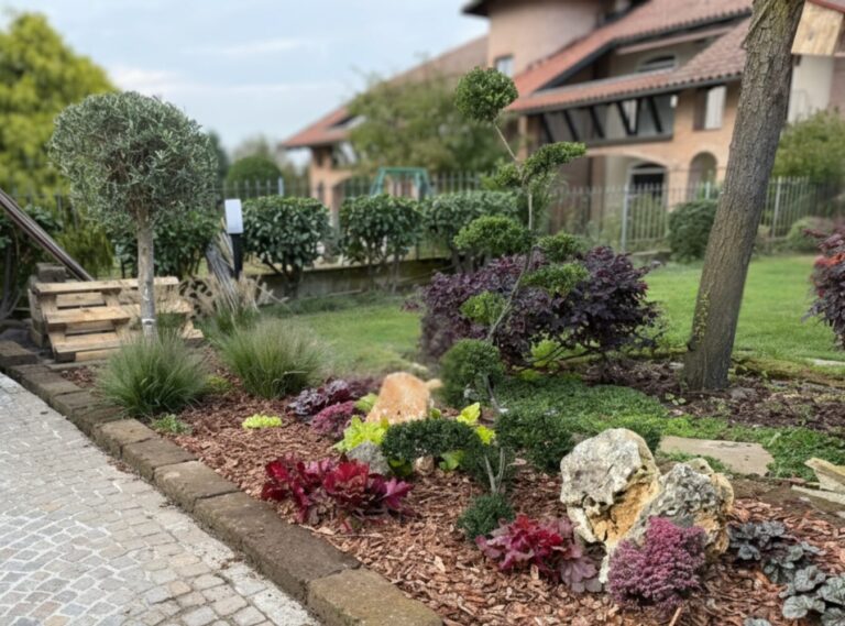 Un giardino roccioso con piante resistenti: stile e poca manutenzione