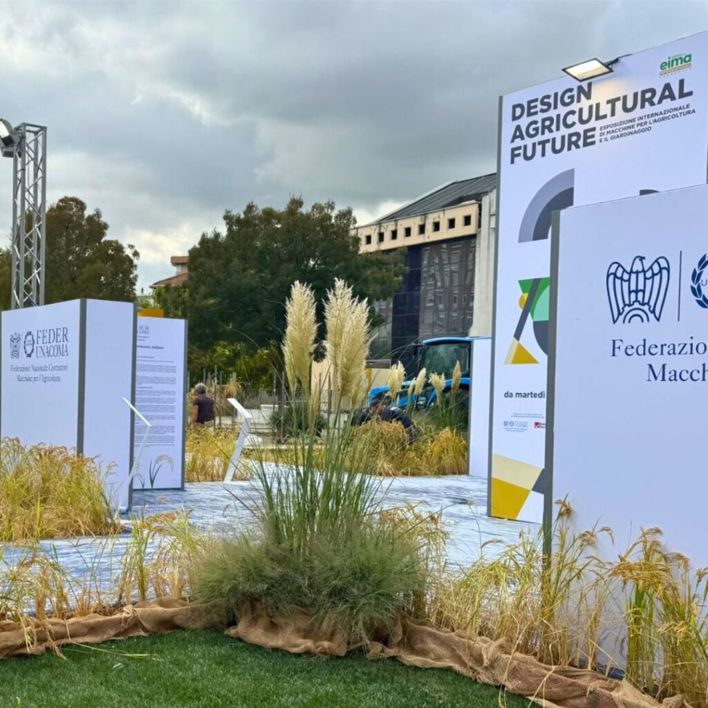 Risaie in pieno centro per Risò 2026: il lavoro di Verdissima a Vercelli