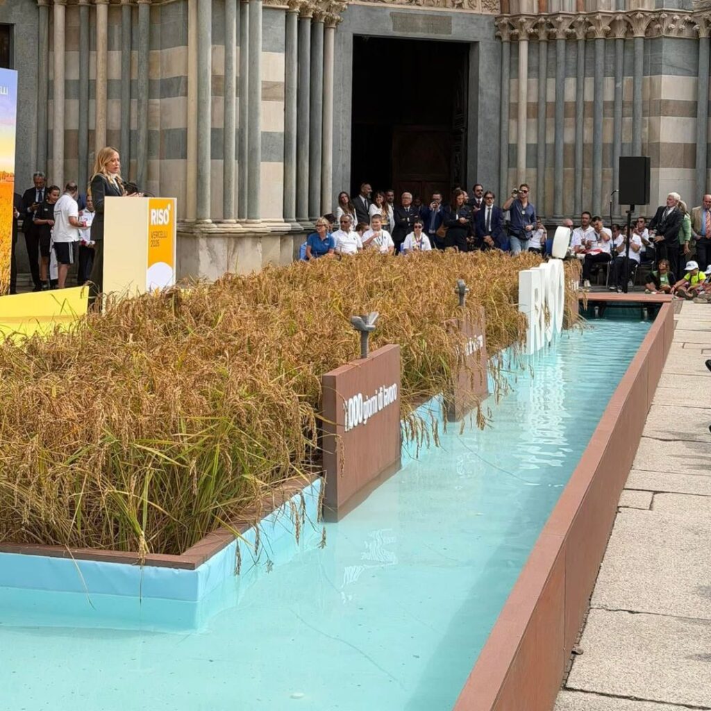 Allestimenti scenografici per Risò 2026: il lavoro di Verdissima a Vercelli e la presenza della presidente del Consiglio Giorgia Meloni
